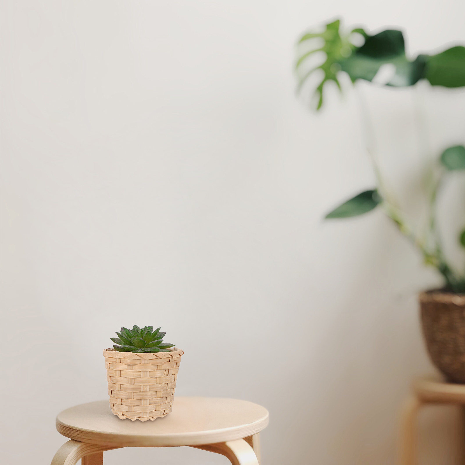 10Pcs Premium Bamboo Woven Bas - Sustainable Living Officer 评论和价格