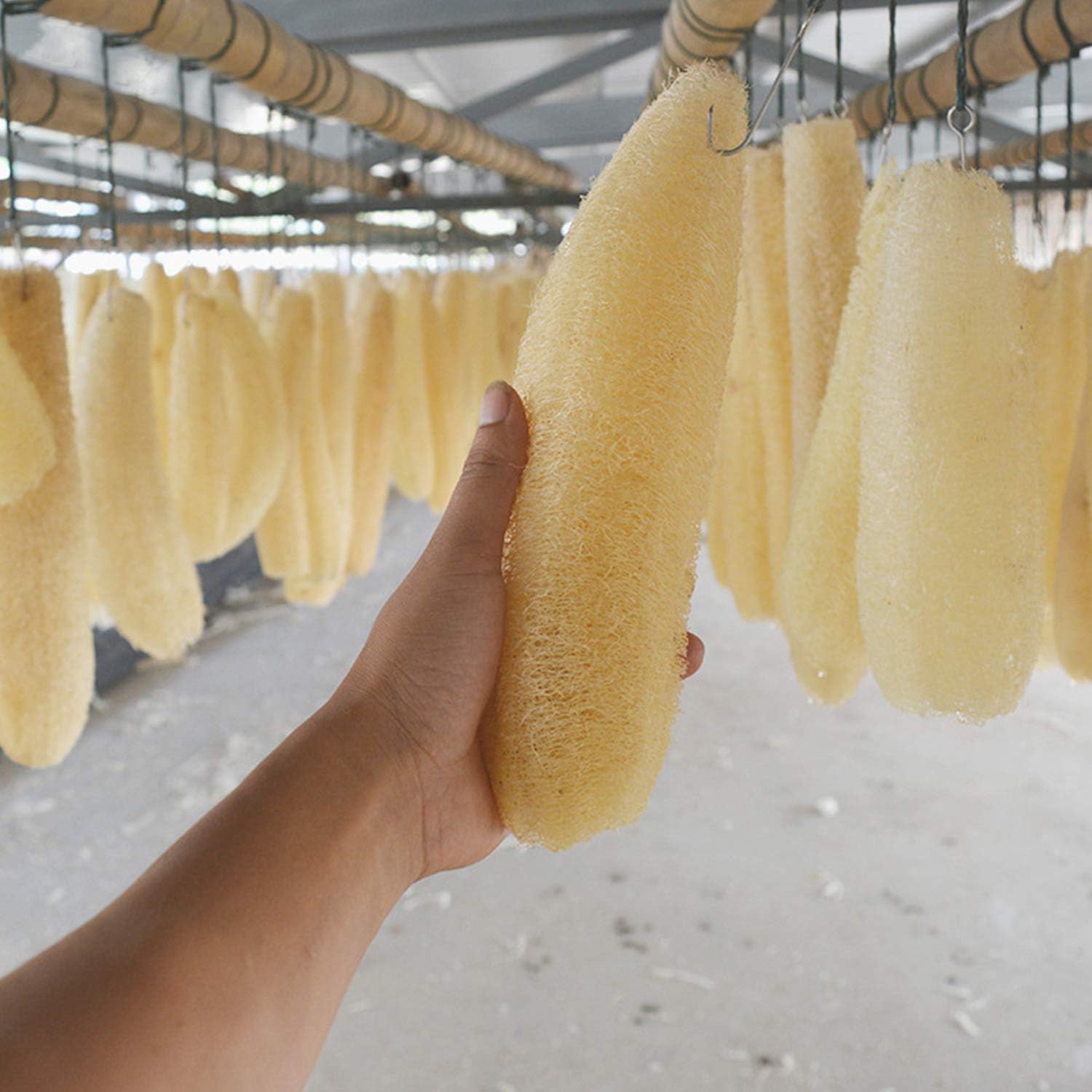 3pcs Full Loofah Natural Exfol - Dish Brush Bamboo 评论和价格